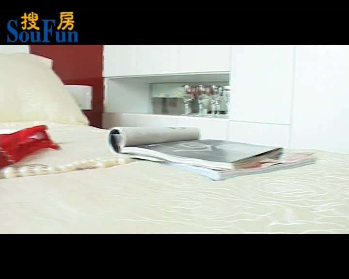 金地中心城小户型样板间3