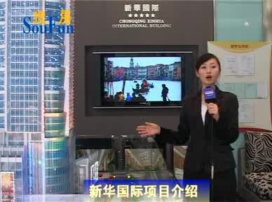 新华国际项目介绍