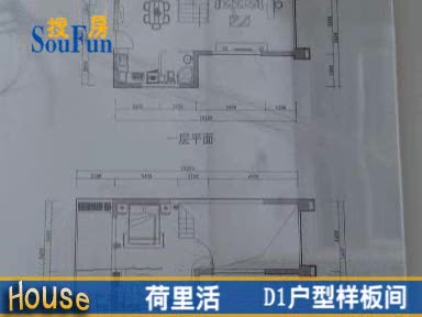 荷里活D1户型样板间