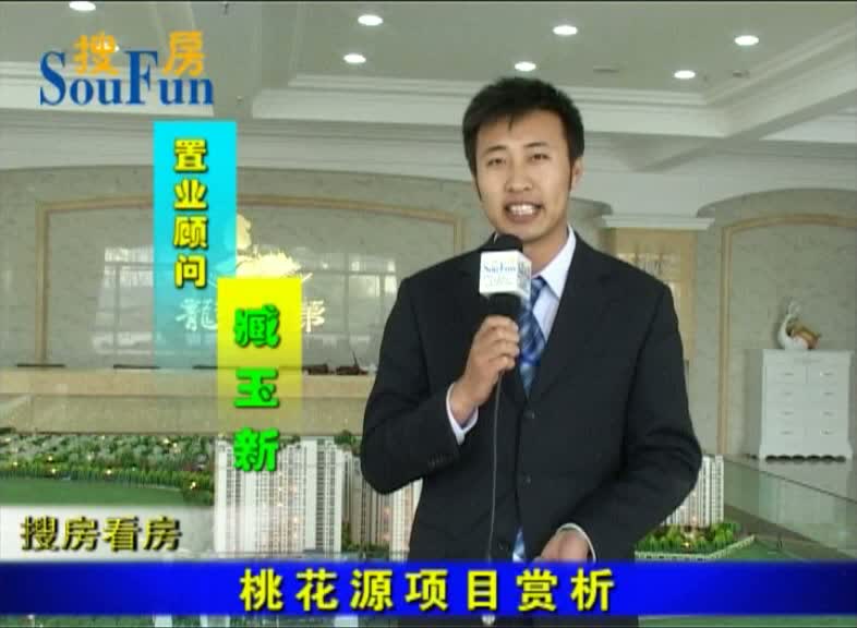 桃花源项目赏析