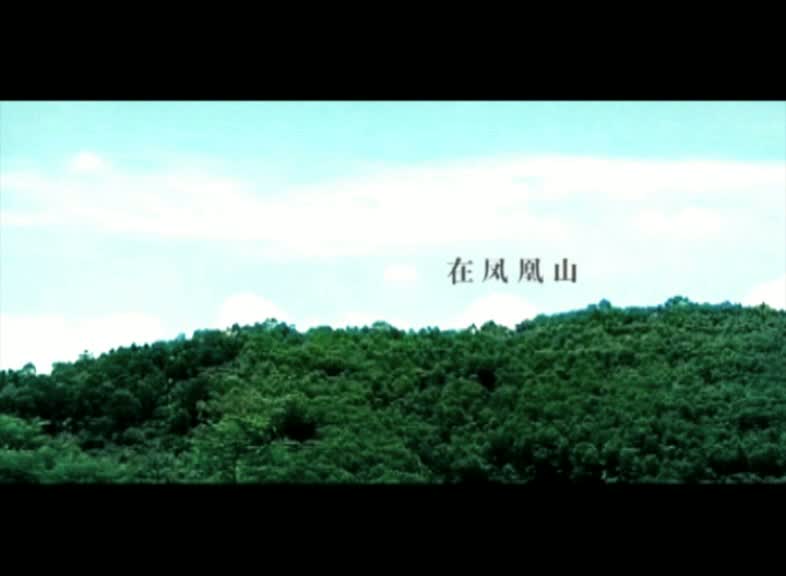 凤凰山水国际城