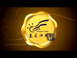 未来海岸项目介绍
