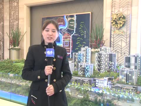 风花树沙盘介绍
